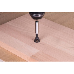 Pogłębiacz 12 mm Wolfcraft - WS, trzpień 6-kąt, z wyrzutnikiem Pogłębiacz 12 mm Wolfcraft - WS, trzpień 6-kąt, z wyrzutnikiem