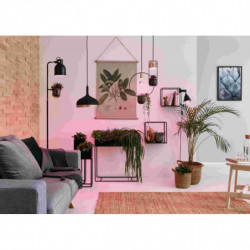 Źródło światła prowzrostowe LED Plant R80 E27 6,5W 1300K 200lm 230V srebrny / szkło Źródło światła prowzrostowe LED Plant R80 E27 6,5W 1300K 200lm 230V srebrny / szkło