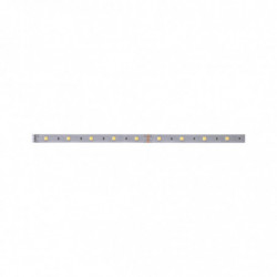 MaxLED 250 Strip 1m regulacja temperatury IP20 3,5W 230/24V Srebrny MaxLED 250 Strip 1m regulacja temperatury IP20 3,5W 230/24V Srebrny