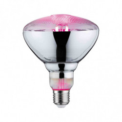 Źródło światła prowzrostowe LED Plant PAR38 E27 6,5W 1300K 200lm 230V srebrny / szkło Źródło światła prowzrostowe LED Plant PAR38 E27 6,5W 1300K 200lm 230V srebrny / szkło