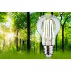 Źródło światła LED AGL 60 4W 840lm E27 3000K 230V przezroczysty / szkło Źródło światła LED AGL 60 4W 840lm E27 3000K 230V przezroczysty / szkło