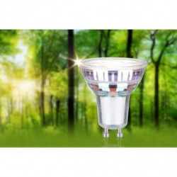 Źródło światła LED GU10 ECO LINE 2.5W 450lm 4000K 230V srebrny / szkło Źródło światła LED GU10 ECO LINE 2.5W 450lm 4000K 230V srebrny / szkło