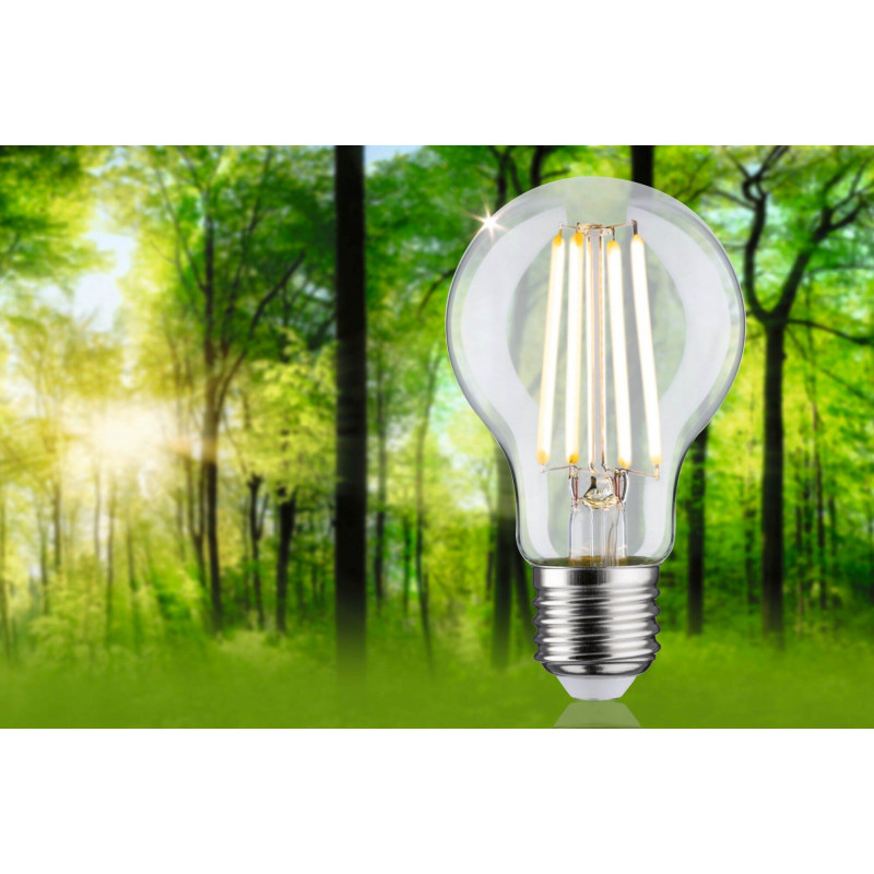 Źródło światła LED AGL 60 2.5W 525lm E27 3000K 230V przezroczysty / szkło Źródło światła LED AGL 60 2.5W 525lm E27 3000K 230V przezroczysty / szkło