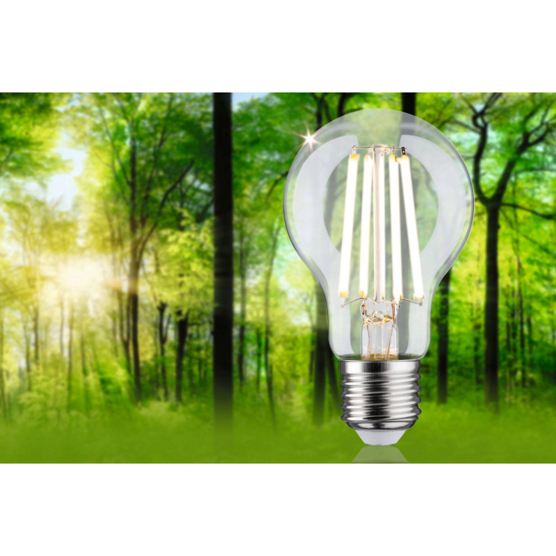 Źródło światła LED AGL 60 4W 840lm E27 3000K 230V przezroczysty / szkło Źródło światła LED AGL 60 4W 840lm E27 3000K 230V przezroczysty / szkło