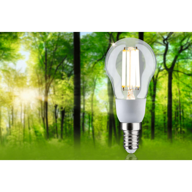 Źródło światła LED ECO LINE G45 2.5W 525lm E14 3000K 230V przezroczysty / szkło Źródło światła LED ECO LINE G45 2.5W 525lm E14 3000K 230V przezroczysty / szkło