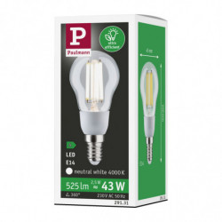 Źródło światła LED ECO LINE G45 2.5W 525lm E14 4000K 230V przezroczysty / szkło Źródło światła LED ECO LINE G45 2.5W 525lm E14 4000K 230V przezroczysty / szkło