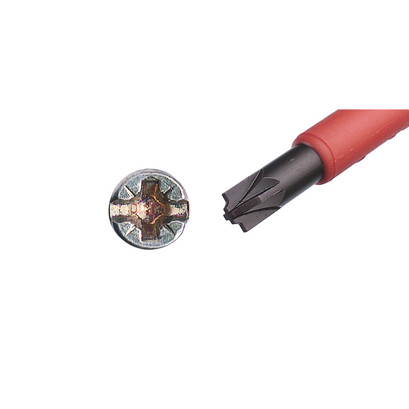 Zestaw Ergonic VDE 3,0/ 4,0/ 5,5/ PH1 /PH2/ Z2 + magnetyzer Zestaw Ergonic VDE 3,0/ 4,0/ 5,5/ PH1 /PH2/ Z2 + magnetyzer