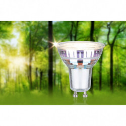 Źródło światła LED 3x GU10 ECO LINE 2.5W 450lm 3000K 230V srebrny / szkło Źródło światła LED 3x GU10 ECO LINE 2.5W 450lm 3000K 230V srebrny / szkło
