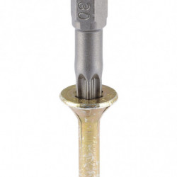 Końcówka Solid, torx 10, wolfcraft (2 szt.) Końcówka Solid, torx 10, wolfcraft (2 szt.)
