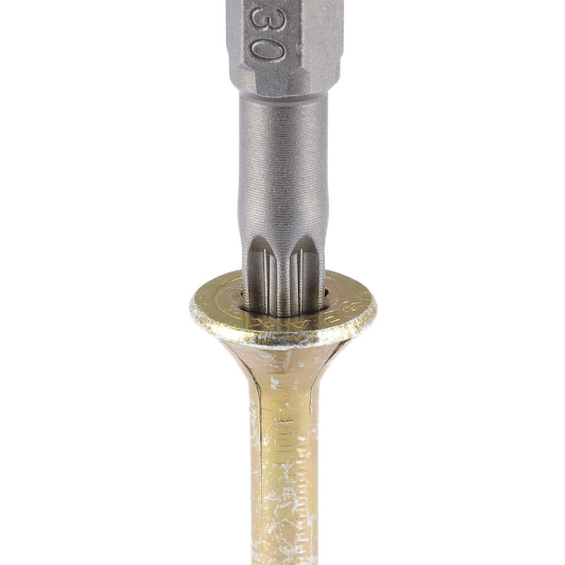 Końcówka Solid, torx 10, wolfcraft (2 szt.) Końcówka Solid, torx 10, wolfcraft (2 szt.)
