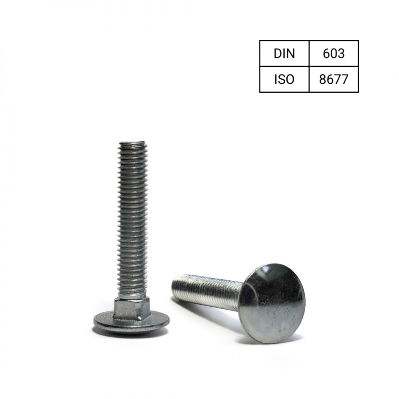 Śruba zamkowa M6x40 DIN603 kl.5.8 oc. Śruba zamkowa M6x40 DIN603 kl.5.8 oc.