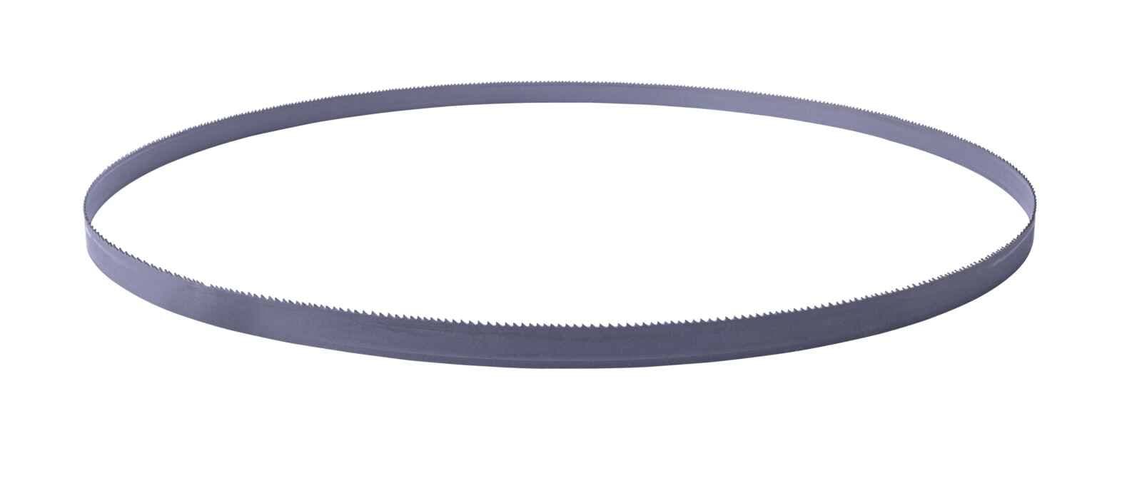 Brzeszczot Taśmowy Scheppach 1141 x 13 x 0,65 mm